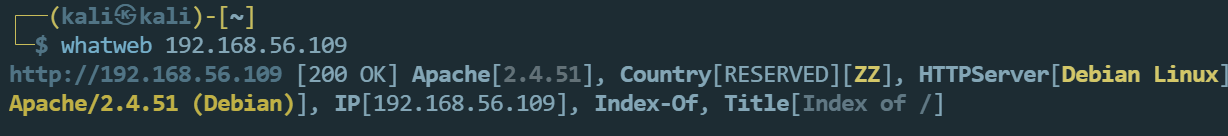 image-20240703202704201