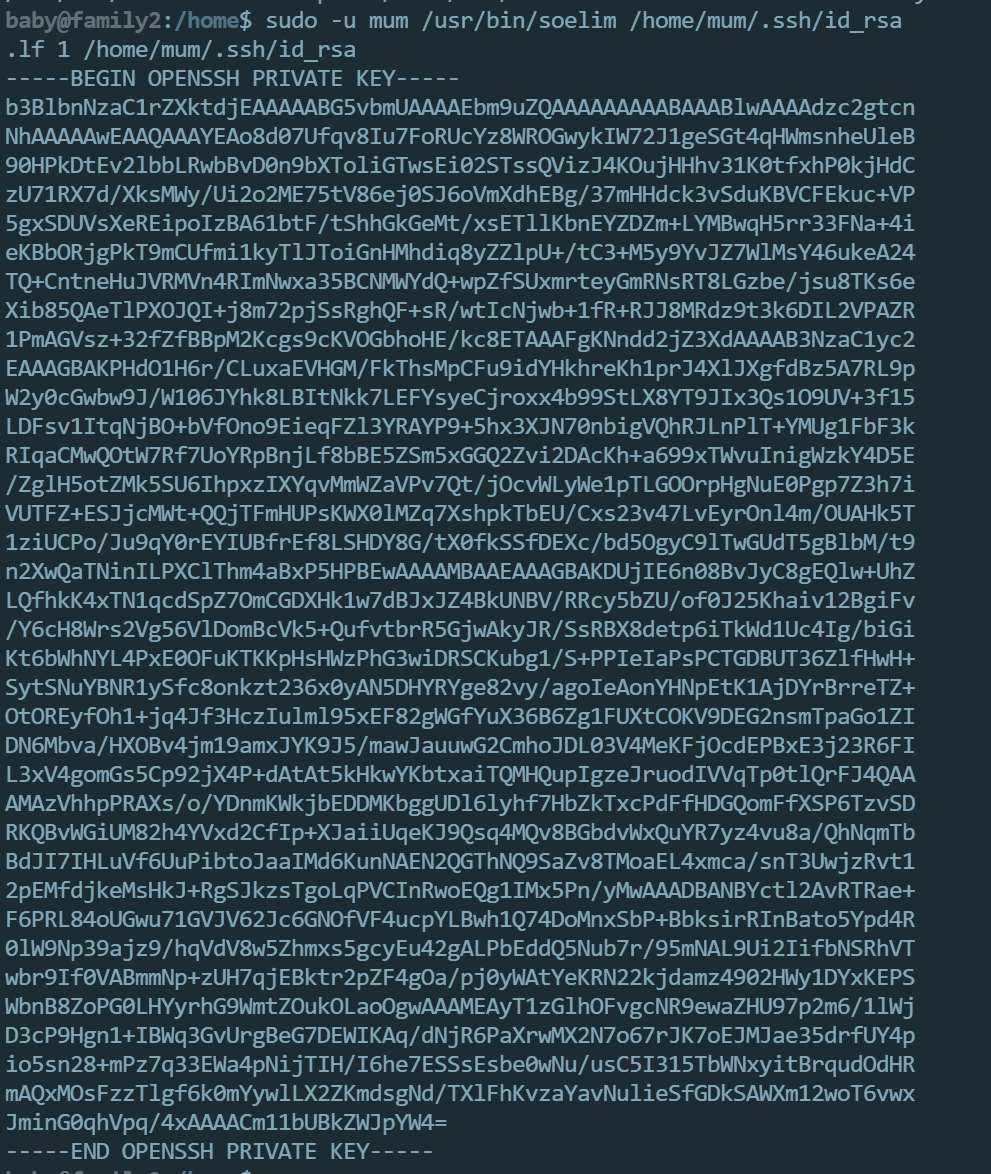 image-20240703204756870