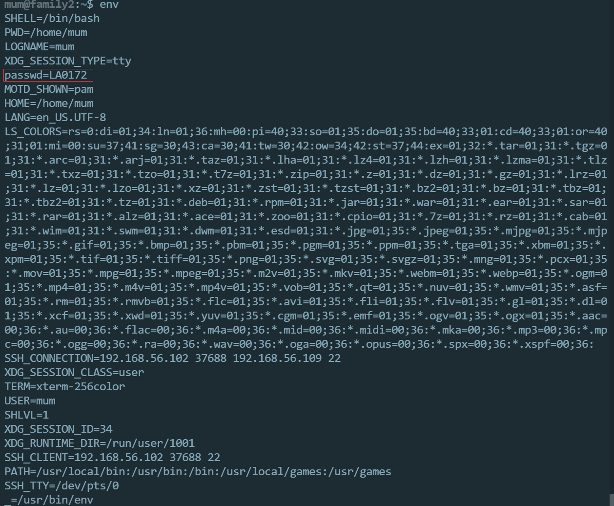 image-20240703205410964