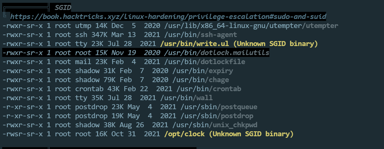 image-20240703210728375