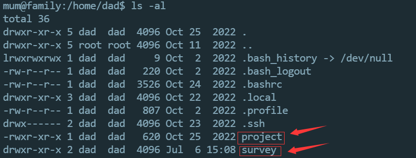 image-20240706211334250