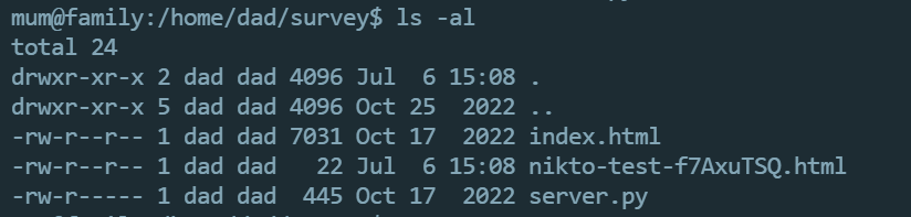 image-20240706214112287