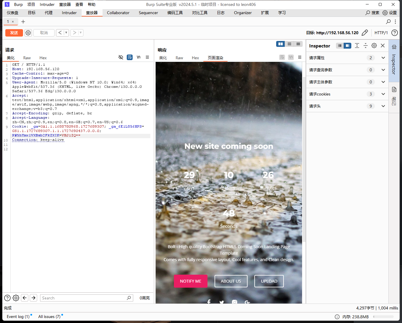 image-20241002133316307