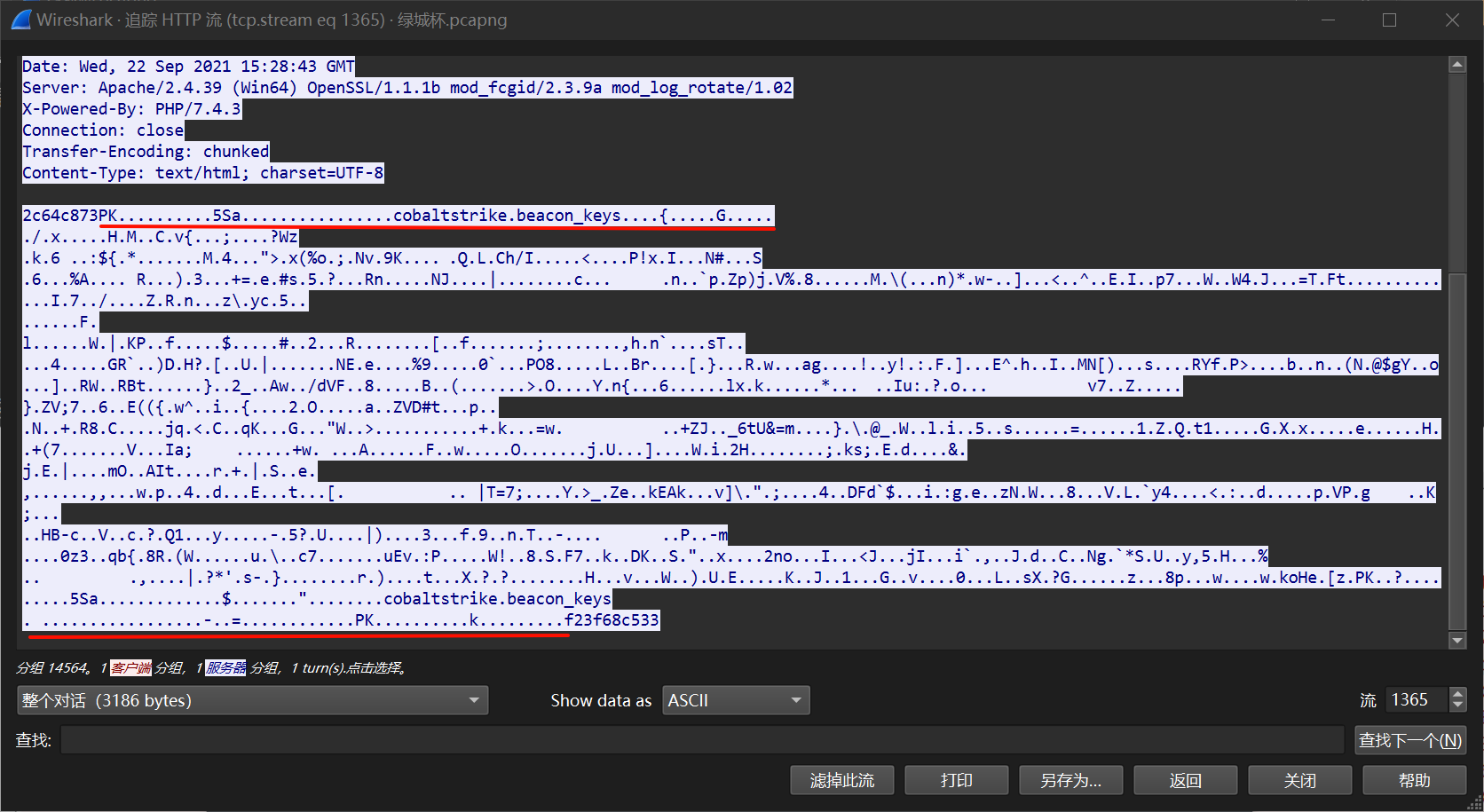 image-20241031193725549