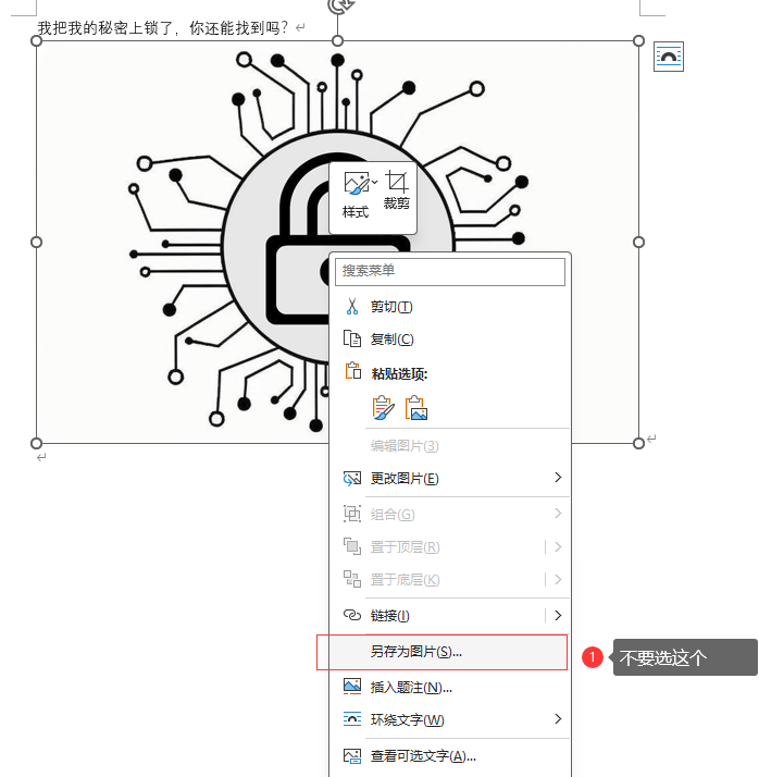 image-20241107114729210
