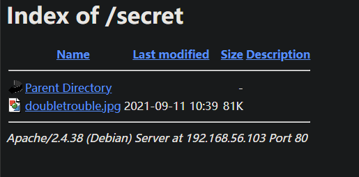 image-20241125124033272