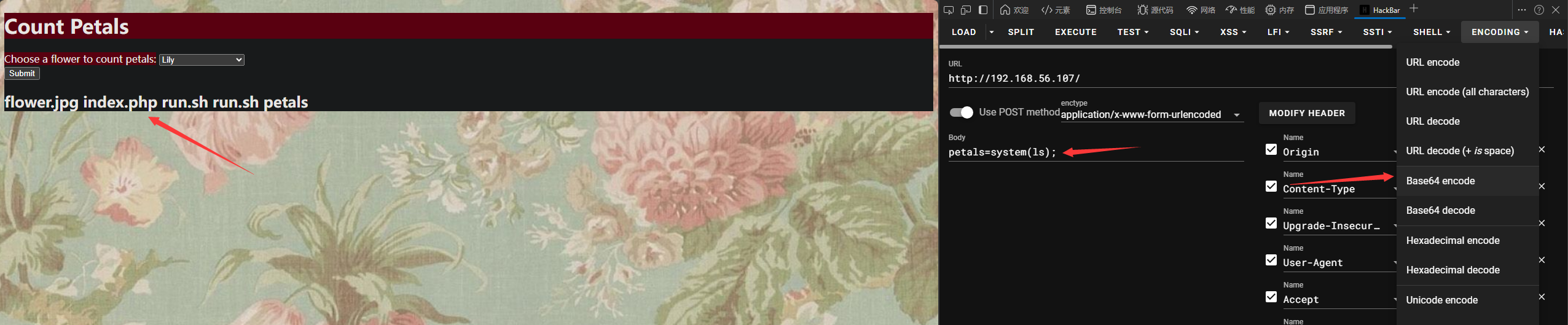 image-20241126204519540