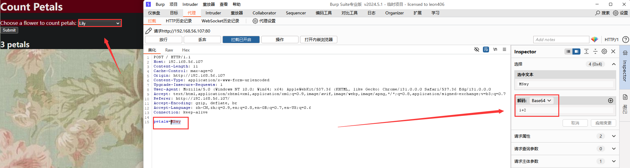image-20241126203636501