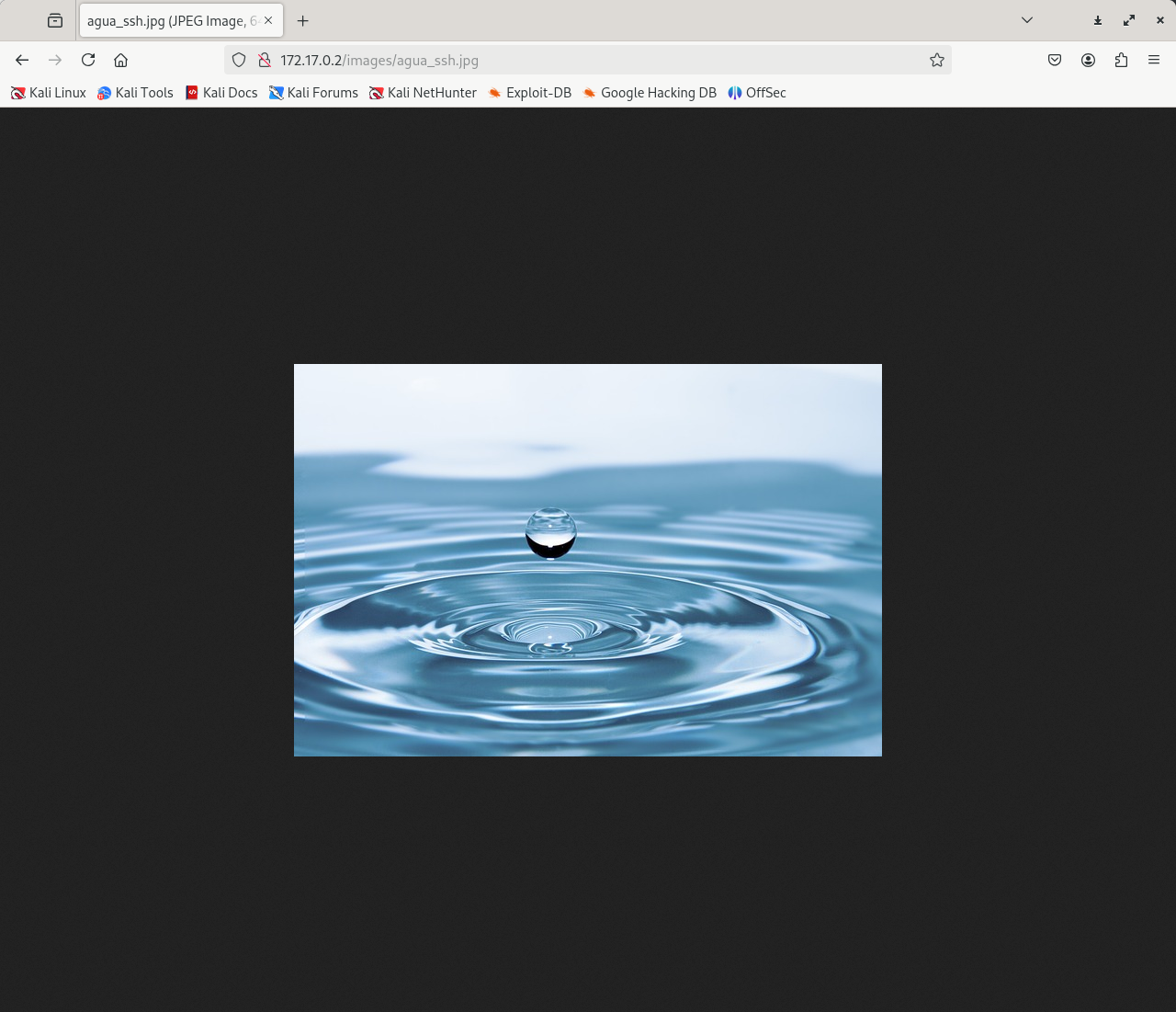 image-20241209220019879