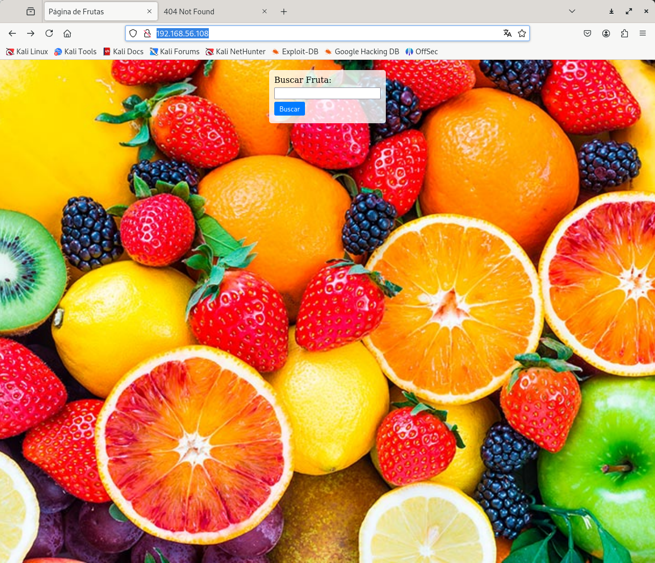 image-20241209224738900