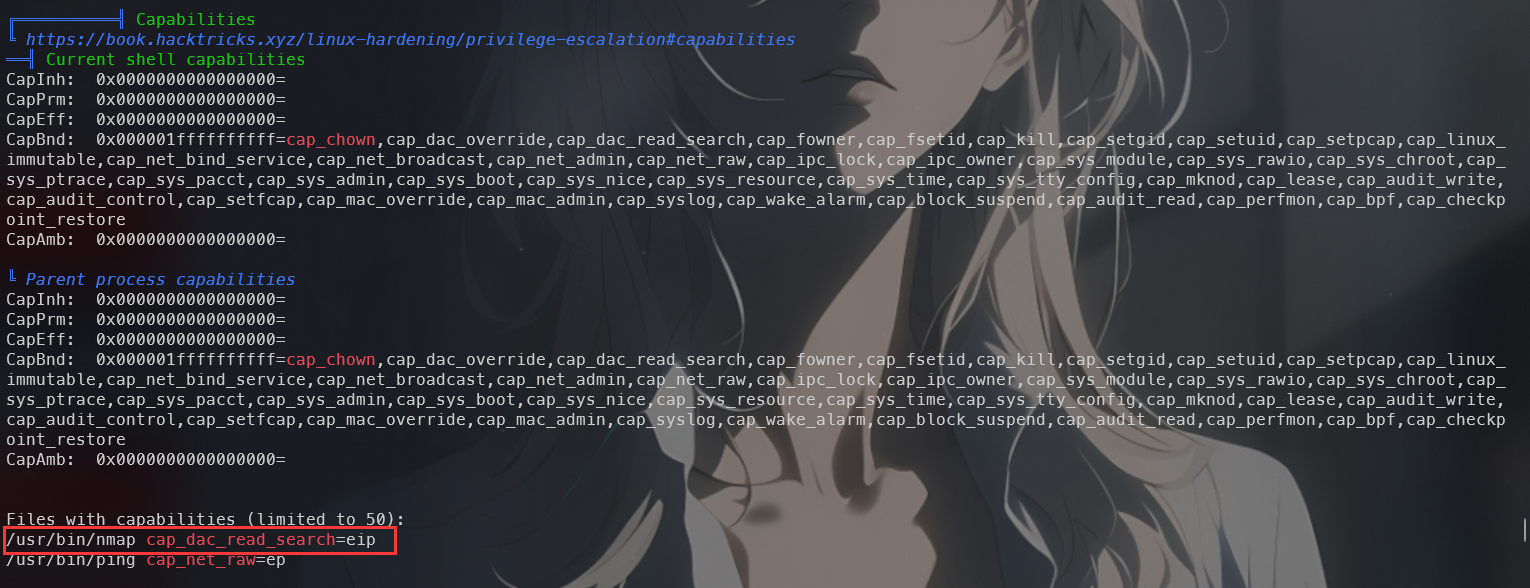 image-20241210202918427