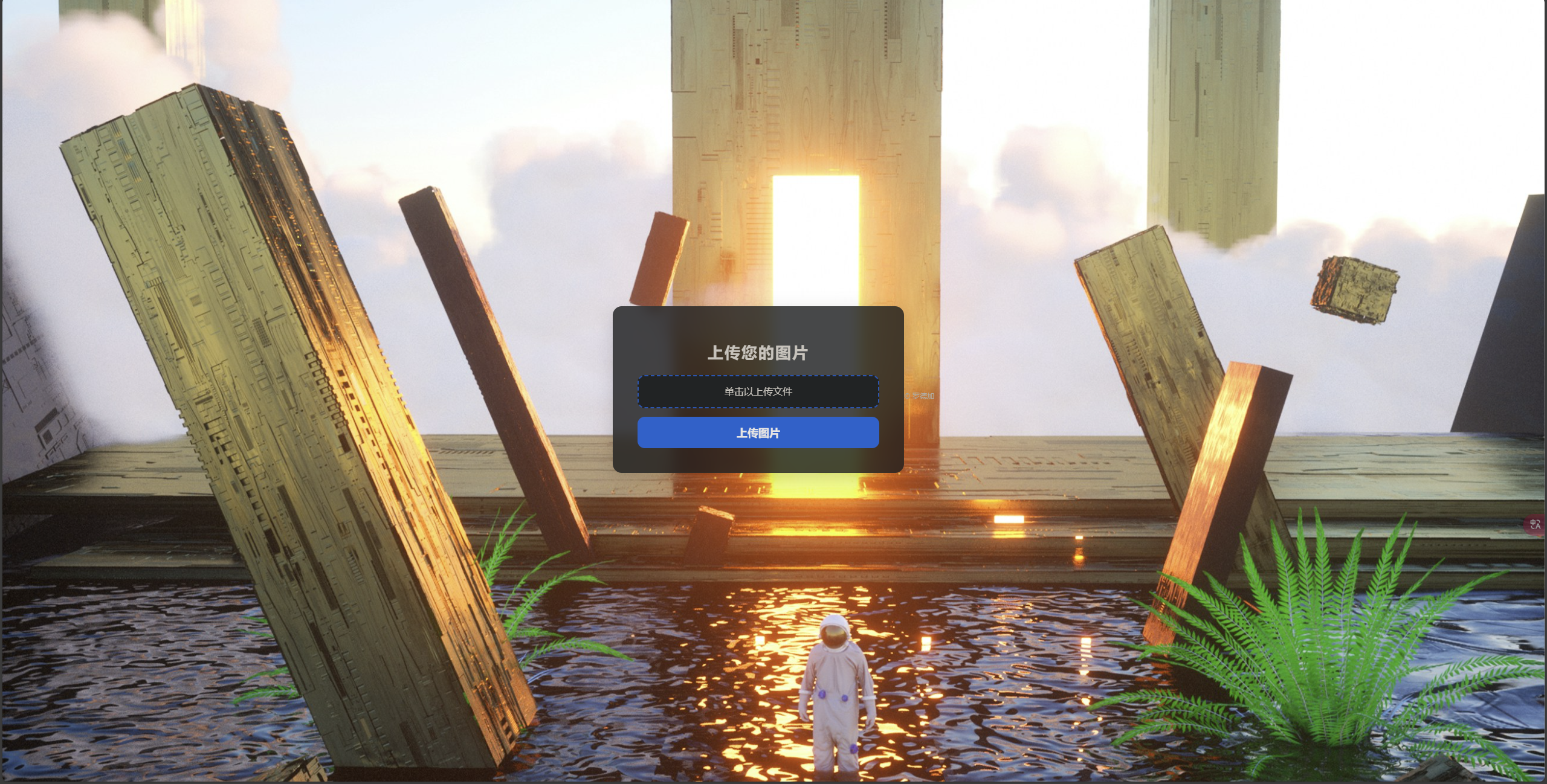 image-20241210210602128