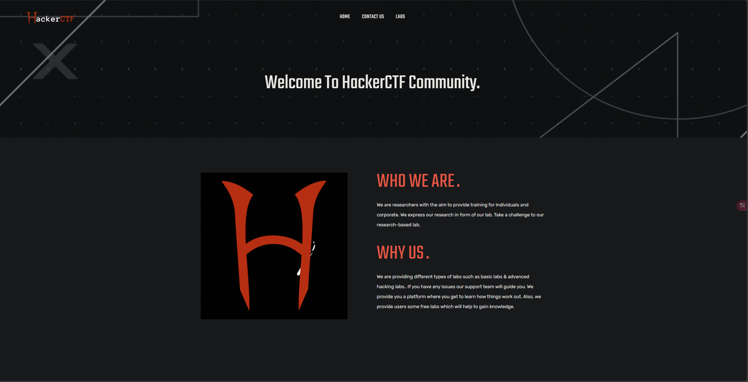 image-20241211200619113