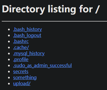 image-20241211203128867