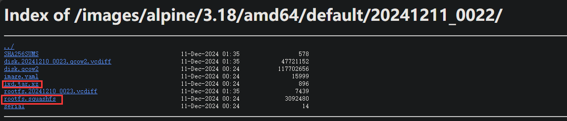 image-20241211231638592