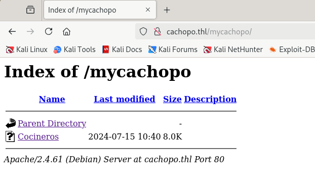 image-20250102192846169