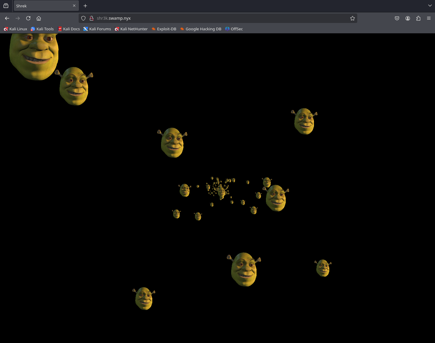 image-20250107221915736