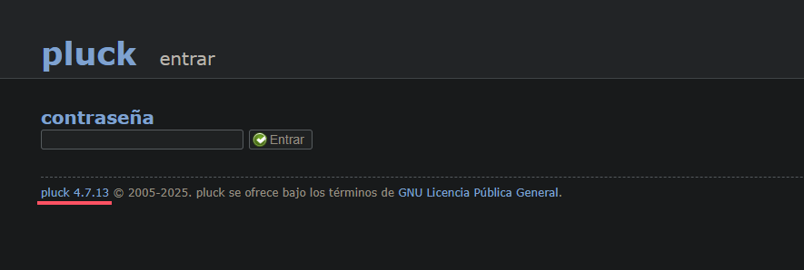 image-20250108132807853