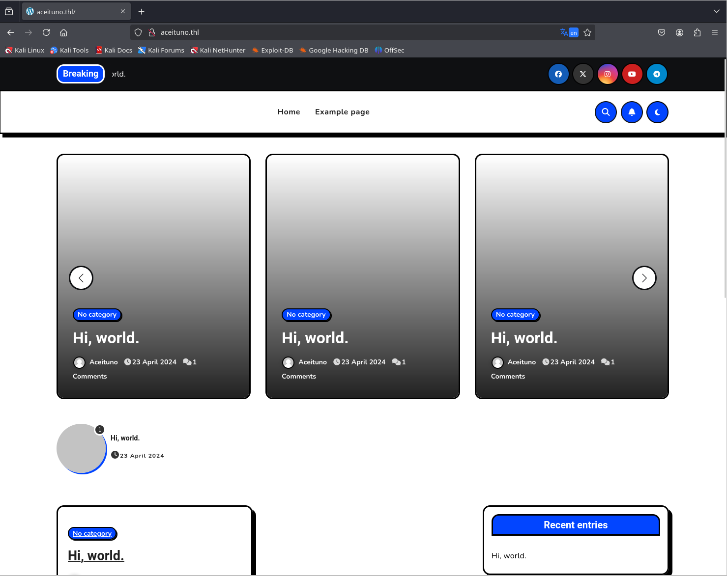 image-20250116224319850