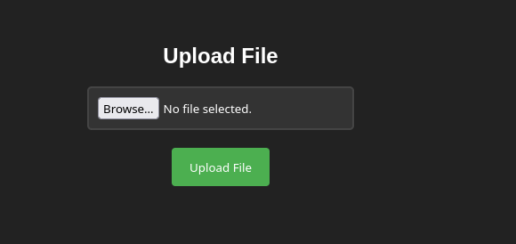 image-20250117202810160