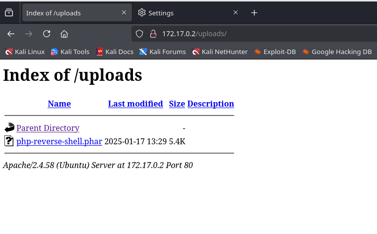 image-20250117202947226