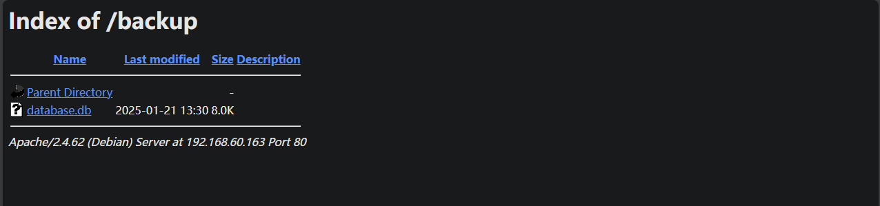 image-20250122163335379