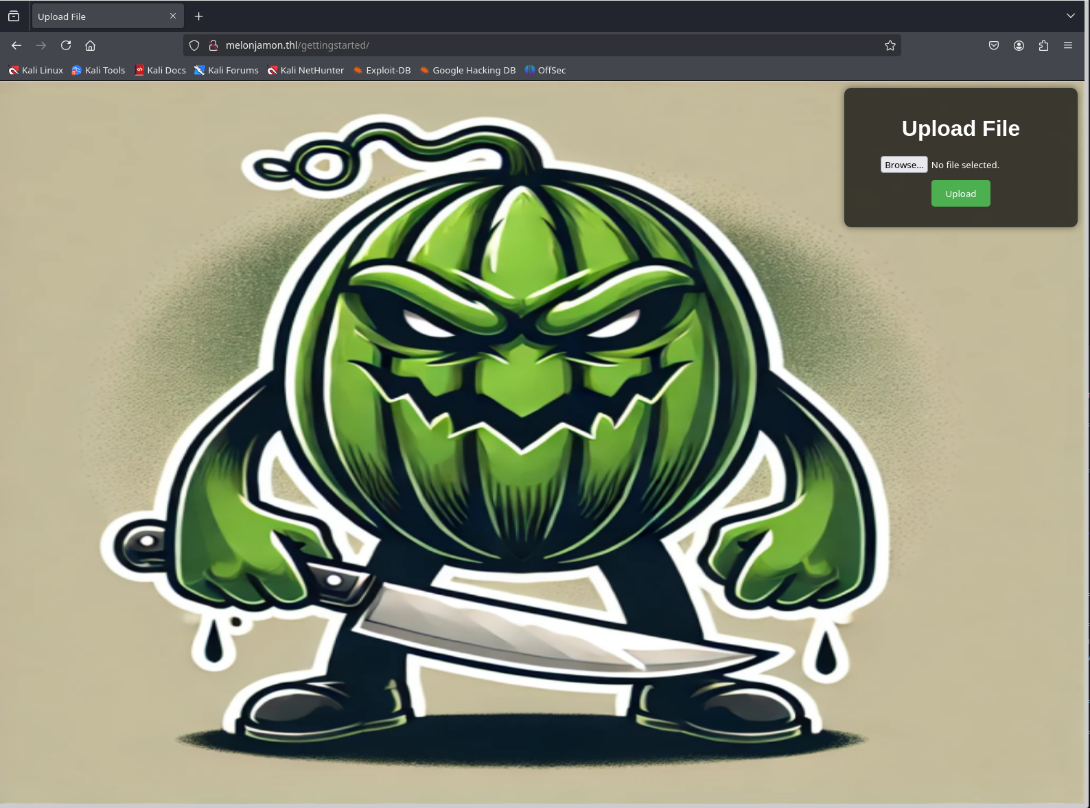 image-20250125195835417