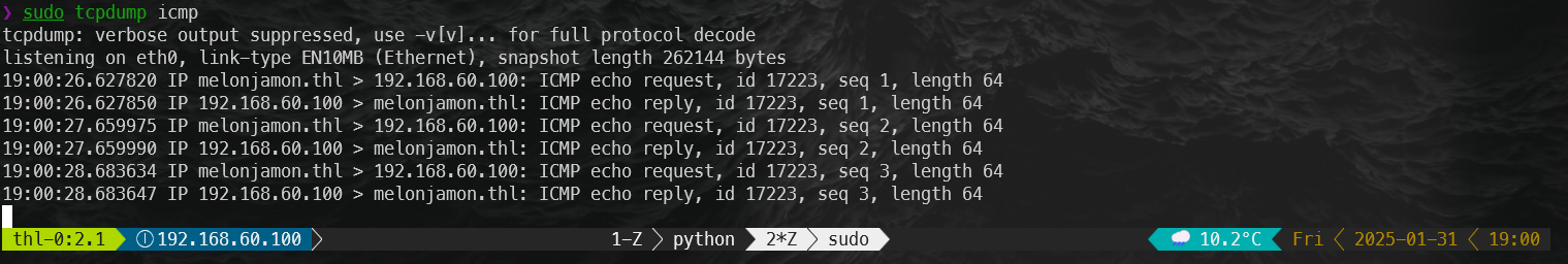 image-20250131190103688