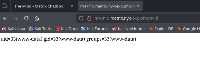 image-20250201194815694