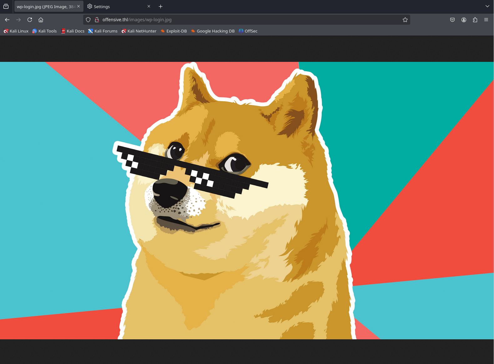 image-20250201220337440