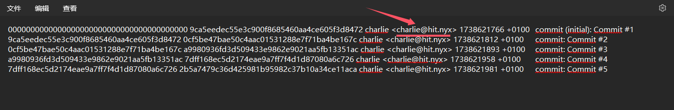 image-20250204232935333