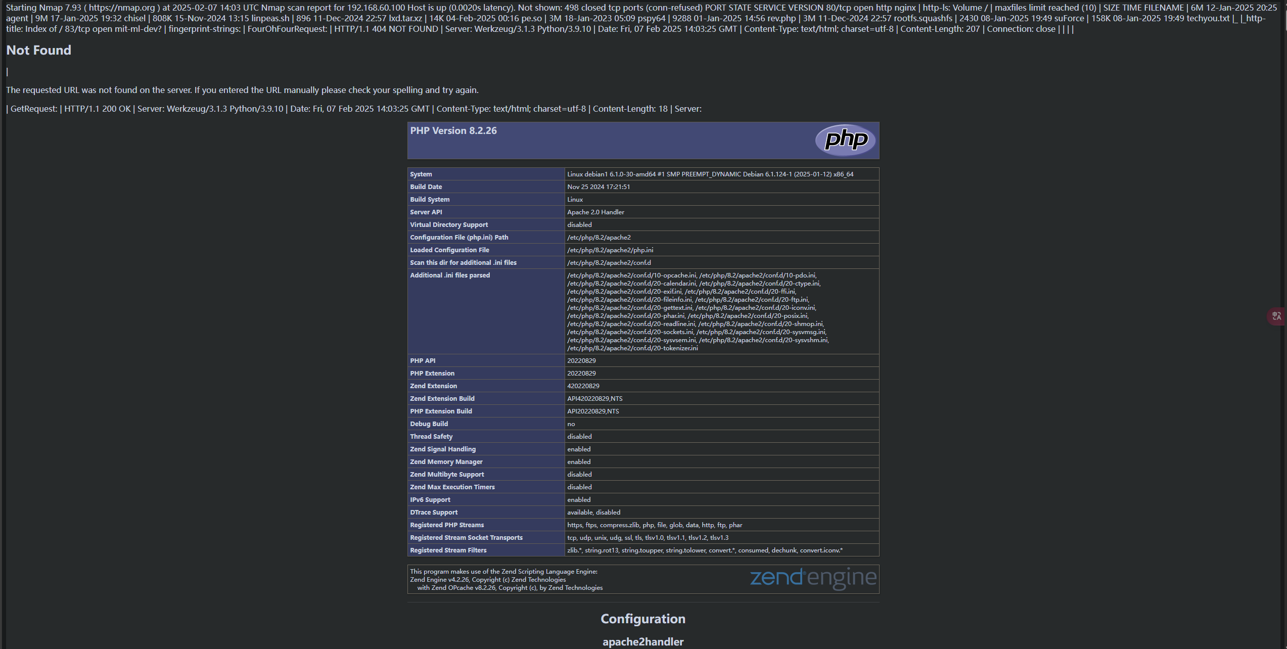 image-20250207220648975