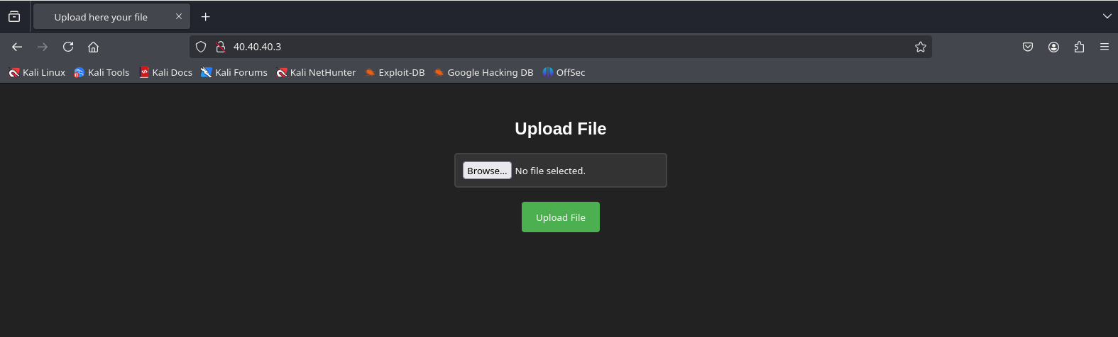 image-20250219145519025