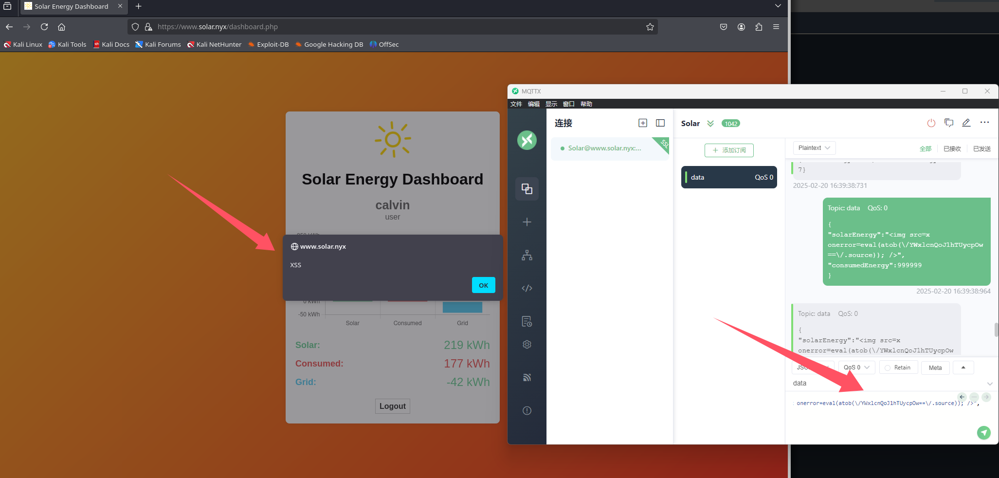 image-20250220164053479