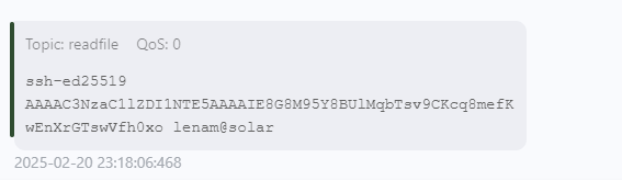 image-20250220231855189