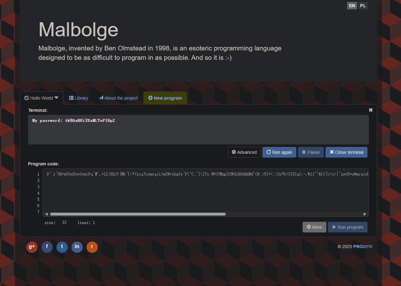 image-20250221125625625