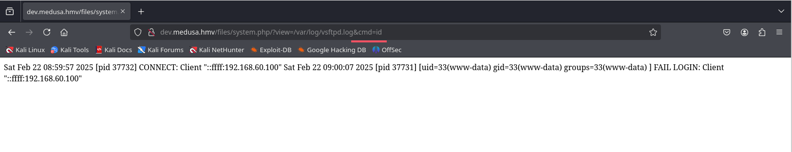 image-20250222220215078