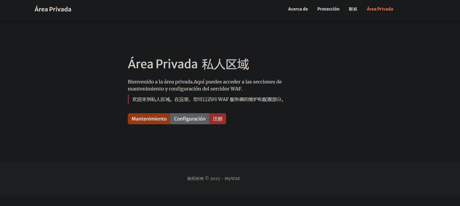 image-20250226213003348