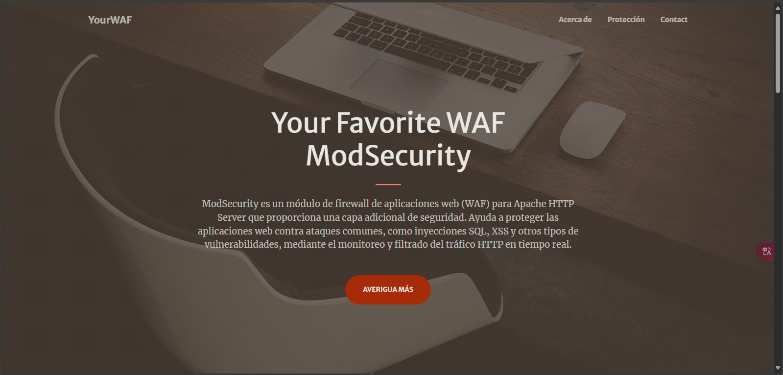 image-20250227091520875