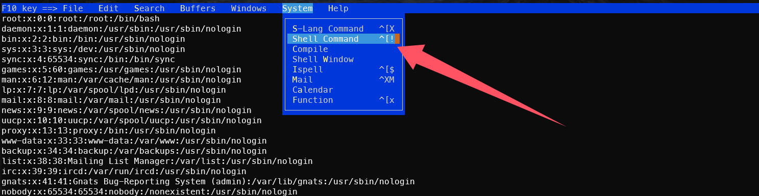 image-20250228125734881