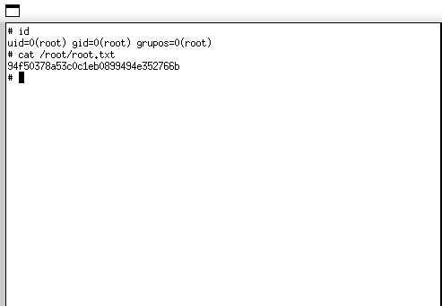 image-20250303105423792