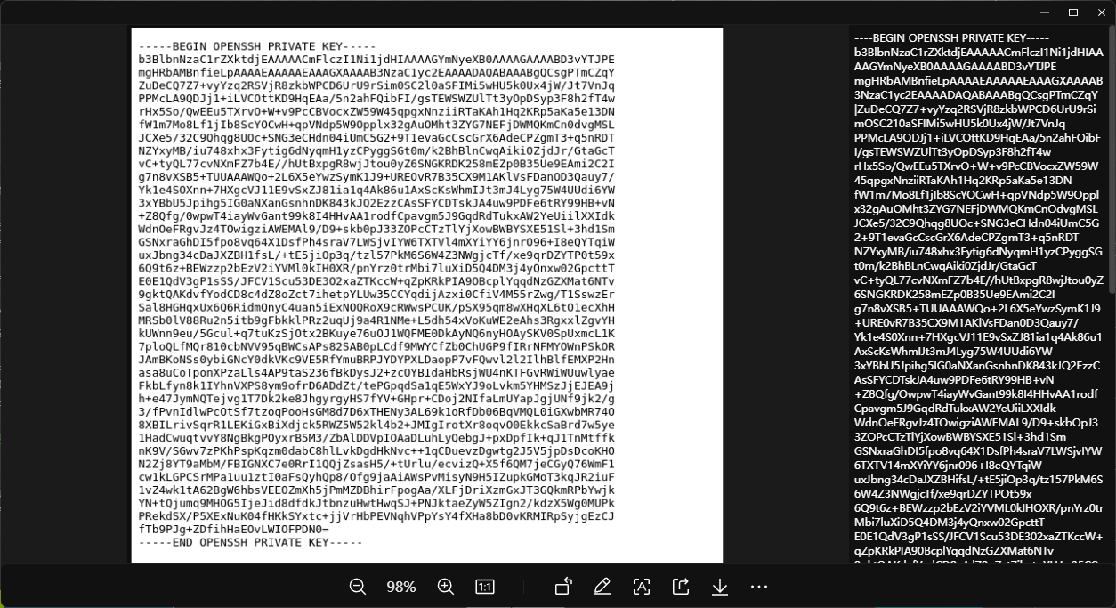 image-20250303193055746