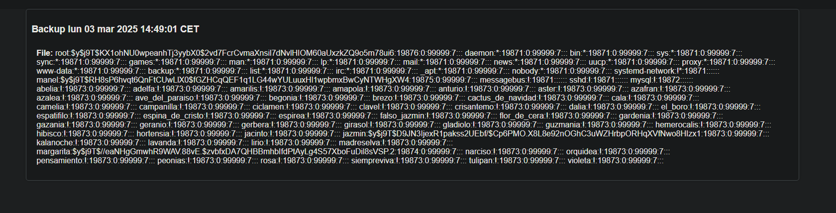 image-20250303214932434