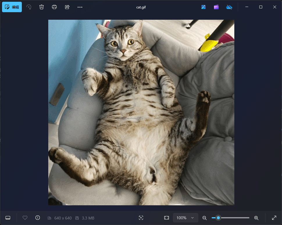 image-20250308133559190