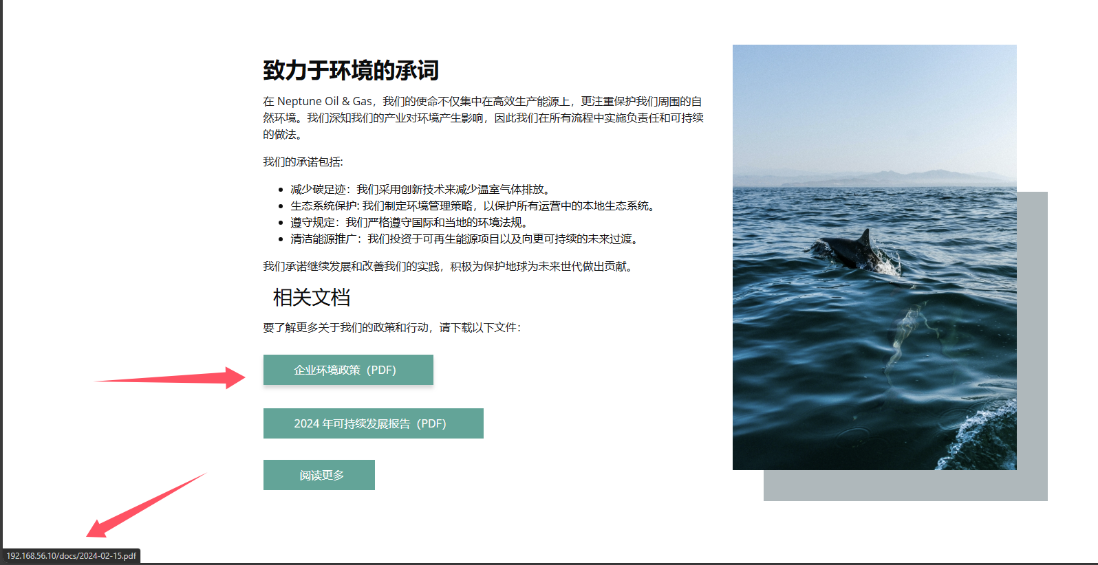 image-20250314165541589