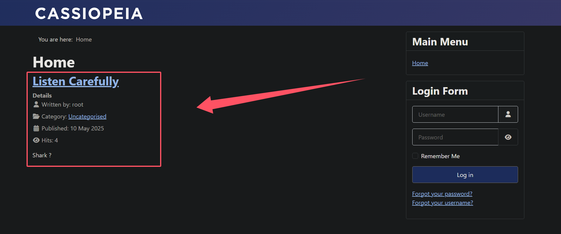 image-20250511200950696