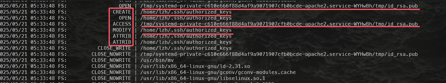 image-20250526233204653